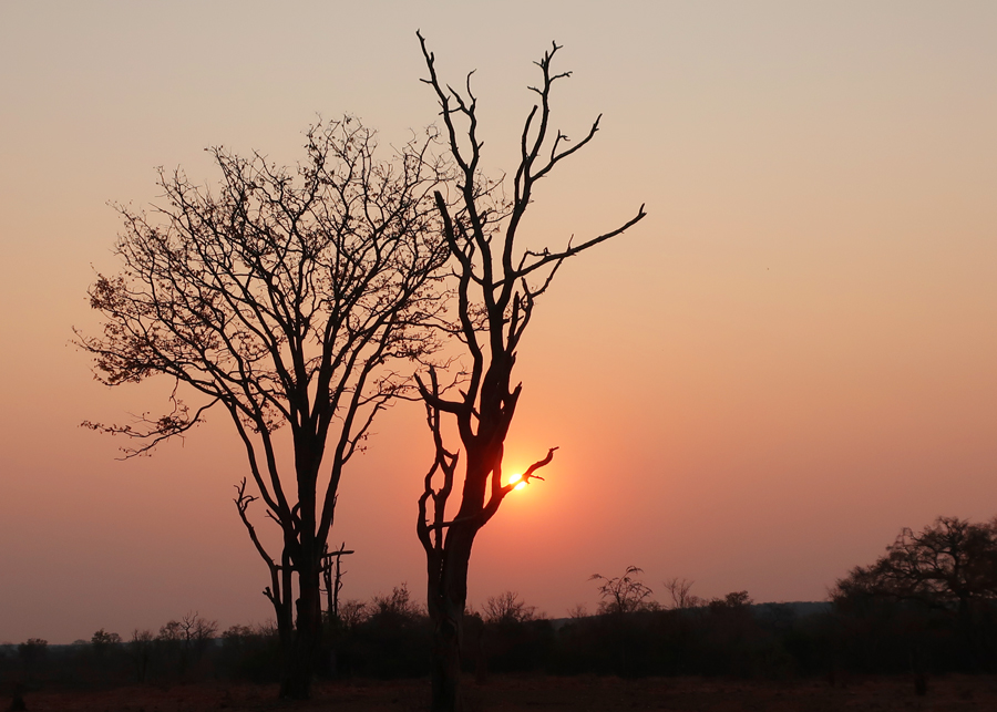 Nakavango