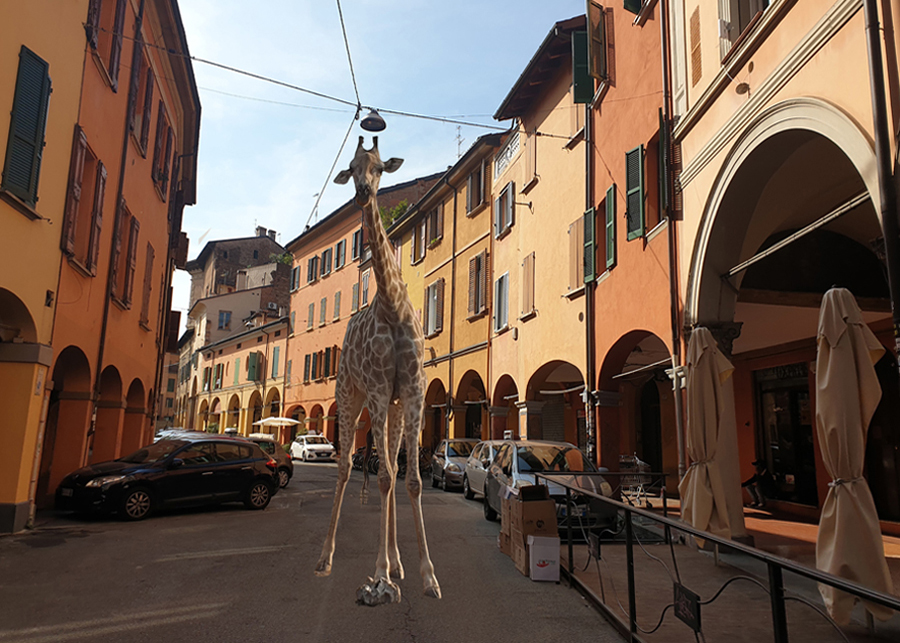 Giraffe in Bologna